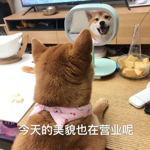  工科的你,是否也想借考研进入管理层