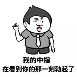  有时候我想优雅的骂个脏话