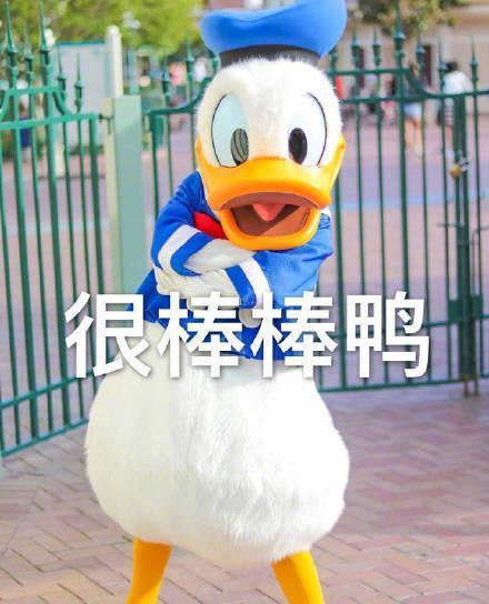  表情无忧聚财很棒棒鸭首批p2p老赖上征信黑名单废债表情