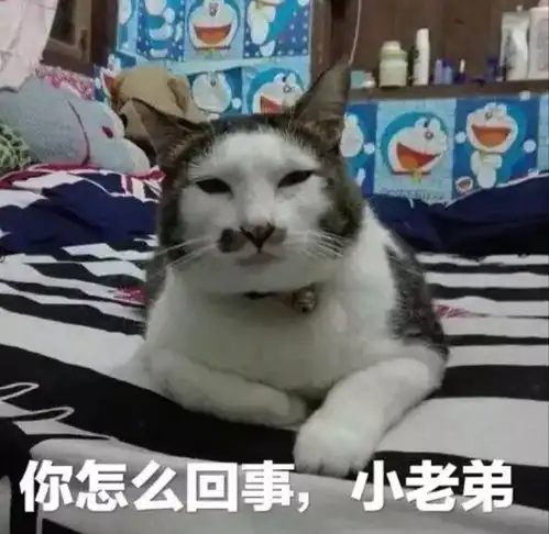  2018年的第一场雪有分别也有重逢