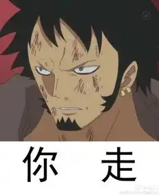  海贼王表情包