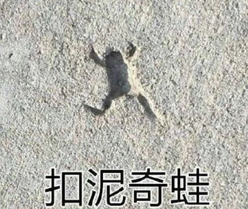  微信表情包图片聊天撩人斗图常用