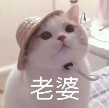 不玩了把钱还我表情包借