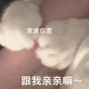  搞笑表情包图片对不起,我老婆呢