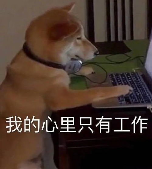  沙雕表情包百度搜不到你,搜狗可以