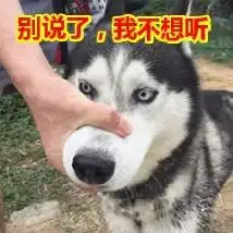  被房价压垮的年轻人
