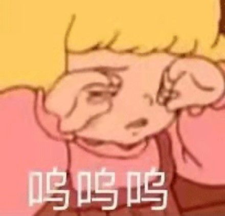  莎拉公主表情包
