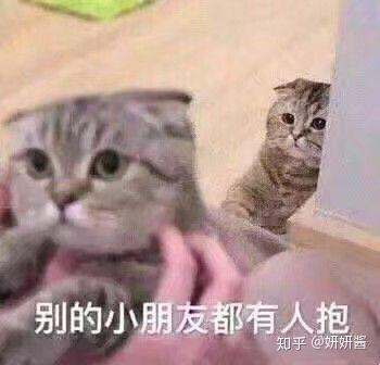 有哪些哄女朋友的表情包