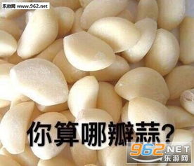  你算那瓣蒜表情包你算哪根葱可爱怼人表情包下载乐游网游戏下载