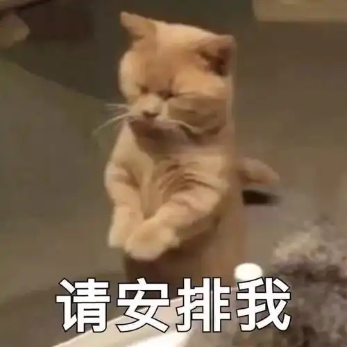  甭管过去的一年怎么样,新春之际,盘它就对了