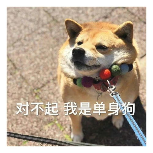  表情包一组有趣的表情包35期