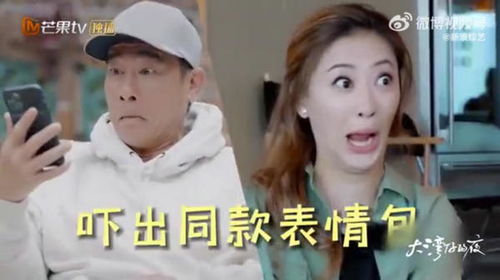  陈小春被应采儿挂断电话惊出同款表情包引爆笑
