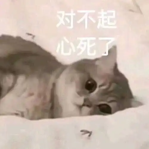  我的收藏