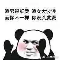  渣狗锡纸烫你家狗狗烫头了吗哈哈哈哈哈哈