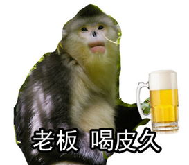  有趣的红唇滇金丝猴表情包