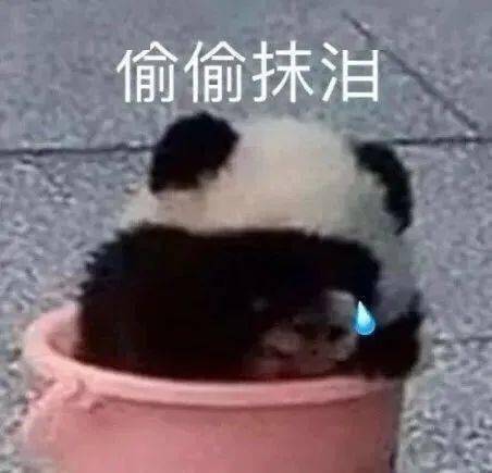  32岁妈妈生子有望奖励5个亿,这福气我也想拥有笑着笑着就哭了