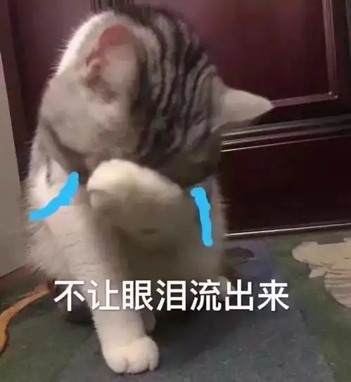  可怕苹果账户出现集体被盗刷可能是和这个功能有关赶紧查查你的手机