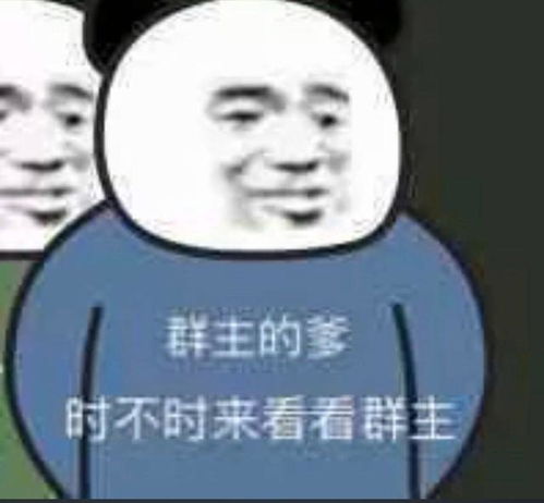  调戏群主表情包合集