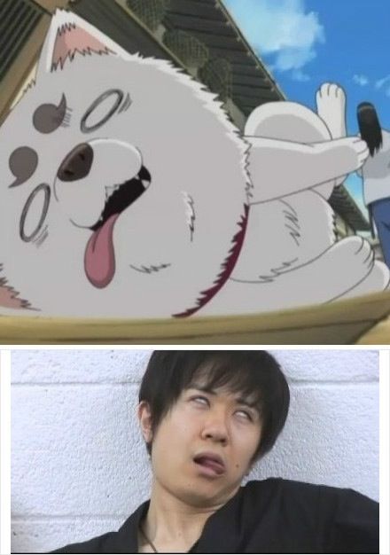 银魂定春杉田智和神cos