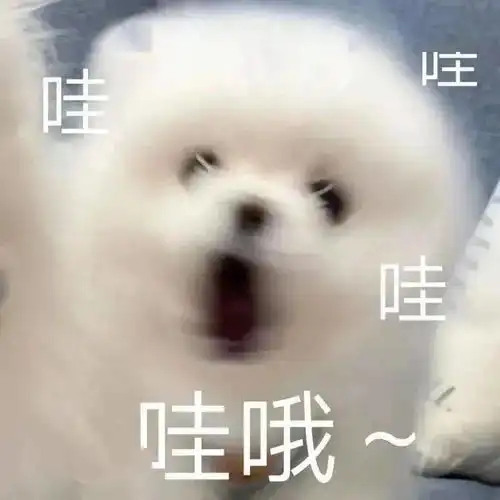 第十四届服装服饰大赛开始啦 第十四届服装服饰大赛开始啦