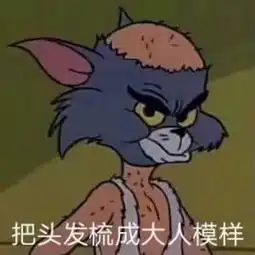  特朗普我把头发梳成大人的模样,有人却来嘲笑我