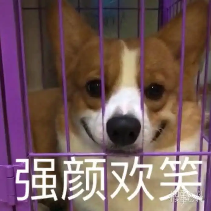  沙雕表情包更新,礼貌拿图小狗狗能有什么坏心眼呢请多担待啦强颜欢笑哥哥,带我打游戏嘛滚啊我也想要甜甜的恋爱乖巧懂事这也太那个了吧