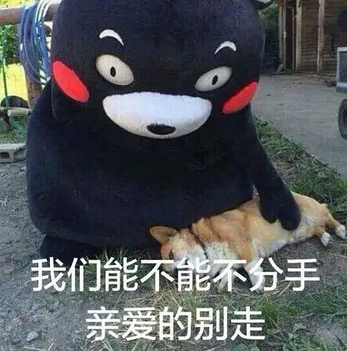 达咩表情包图片迷妹