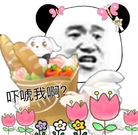  沙雕表情包绿我可以,绿我基金不行