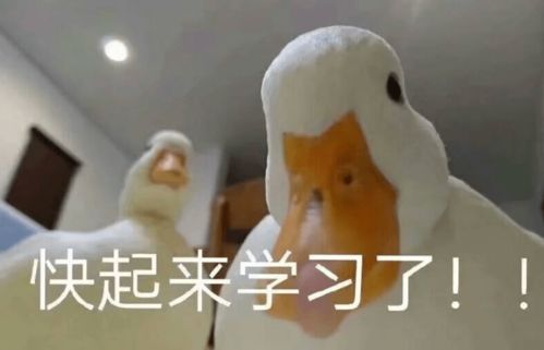  一对恋人在高速路上吵架撞车大打出手