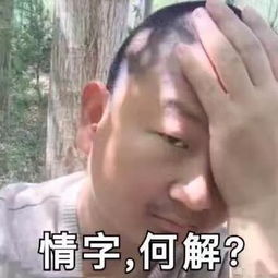  欢迎来到松江仙境