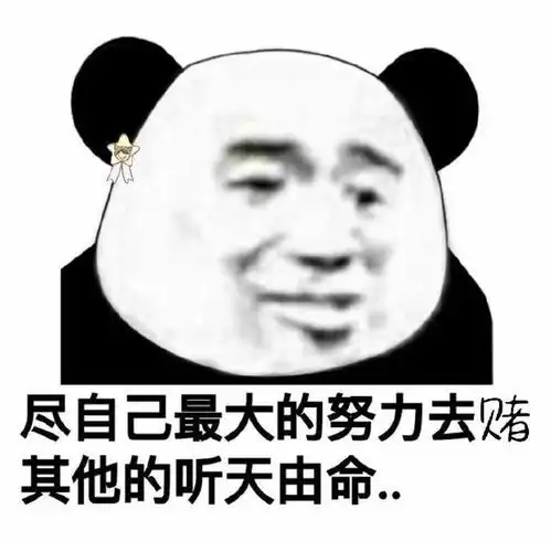  哔哩哔哩专栏