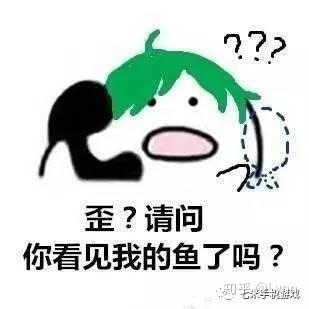 ray模型表情包请开窗