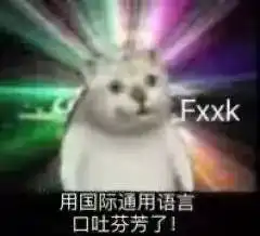  憨憨猫表情包憨憨猫图片憨憨猫原图