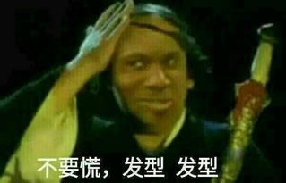  搞笑表情包遇事不要慌,注意发型,发型