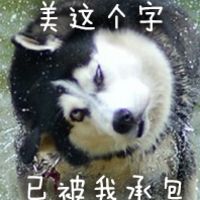  二哈表情包图片