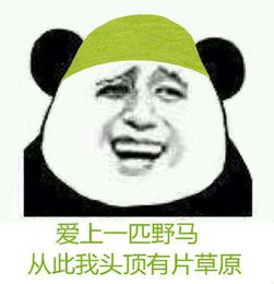  微信发布自带当然是选择原谅ta绿帽子表情包