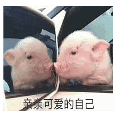  要亲亲,要抱抱,还要举高高