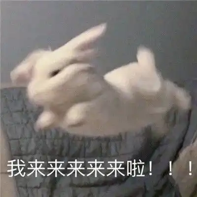  最新的有趣微信聊天表情大全超级热门的好笑聊天表情