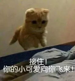  我们期待你的加入