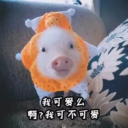 峨眉山猴王奈良流氓鹿巴哈马猪精如何招架景区一霸,为了求生了解一下 峨眉山猴王奈良流氓鹿巴哈马猪精如何招架景区一霸,为了求生了解一下