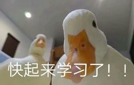对不起鸭的表情包员工