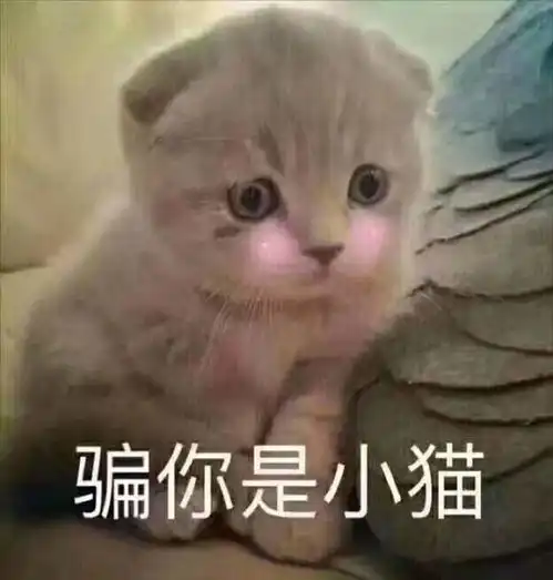  开心一刻段子中午饭时,儿子对着我喊道,妈妈,来吃饲料了