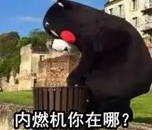  把丢进垃圾桶的内燃机捡起来吧