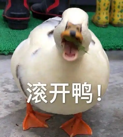  轻松一刻放屁会传播病毒吗结论有内味儿了