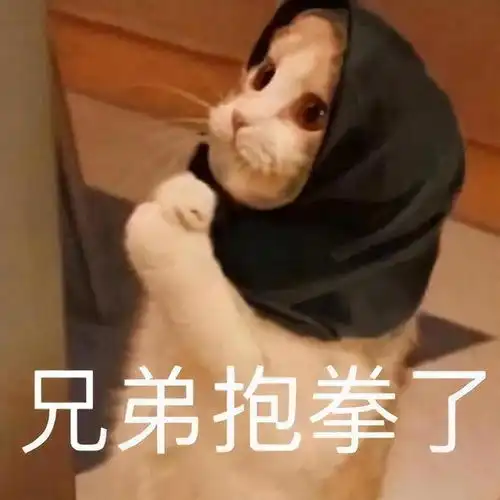  短短1个月,暴力反弹20以上