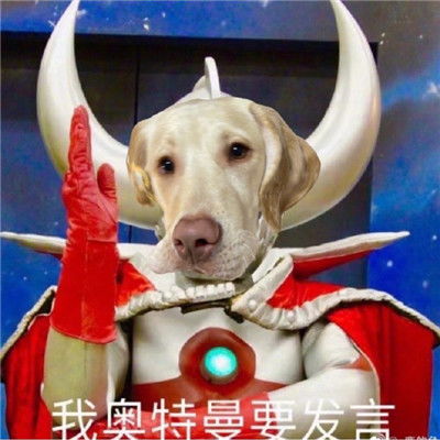  戏精必备的狗头斗图表情包