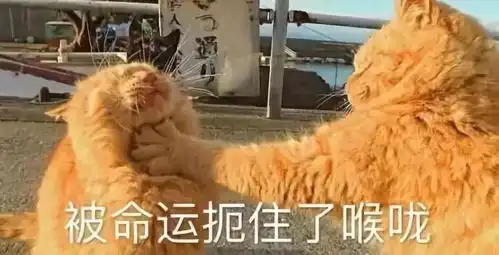  哭笑不得萧山一根限高杆火了,网友专门为它做了个集锦