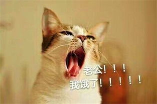  幽默笑话做错了事被媳妇知道后,她非要和我谈一谈历史