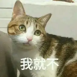  那些喜欢说我以前就试过,不行的的人,他们后来都怎样了