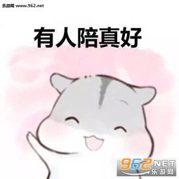  仓鼠虽然嘴上说不要表情包下载乐游网游戏下载